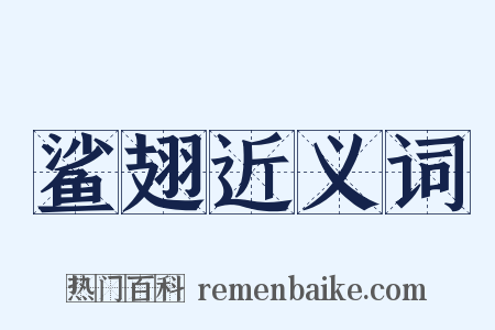 鲨翅近义词是什么意思的图片